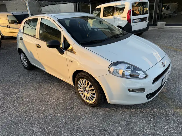Fiat Punto 5p 1.3 mjt Street s&s 95cv Per neopatentati