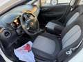 Fiat Punto 5p 1.3 mjt Street s&s 95cv Per neopatentati Bianco - thumbnail 8