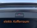 Skoda Octavia Combi 2,0 TDI Style DSG Sportpaket Pano AHK CarPlay ACC Kamera 1.Besitz Grau - thumbnail 22