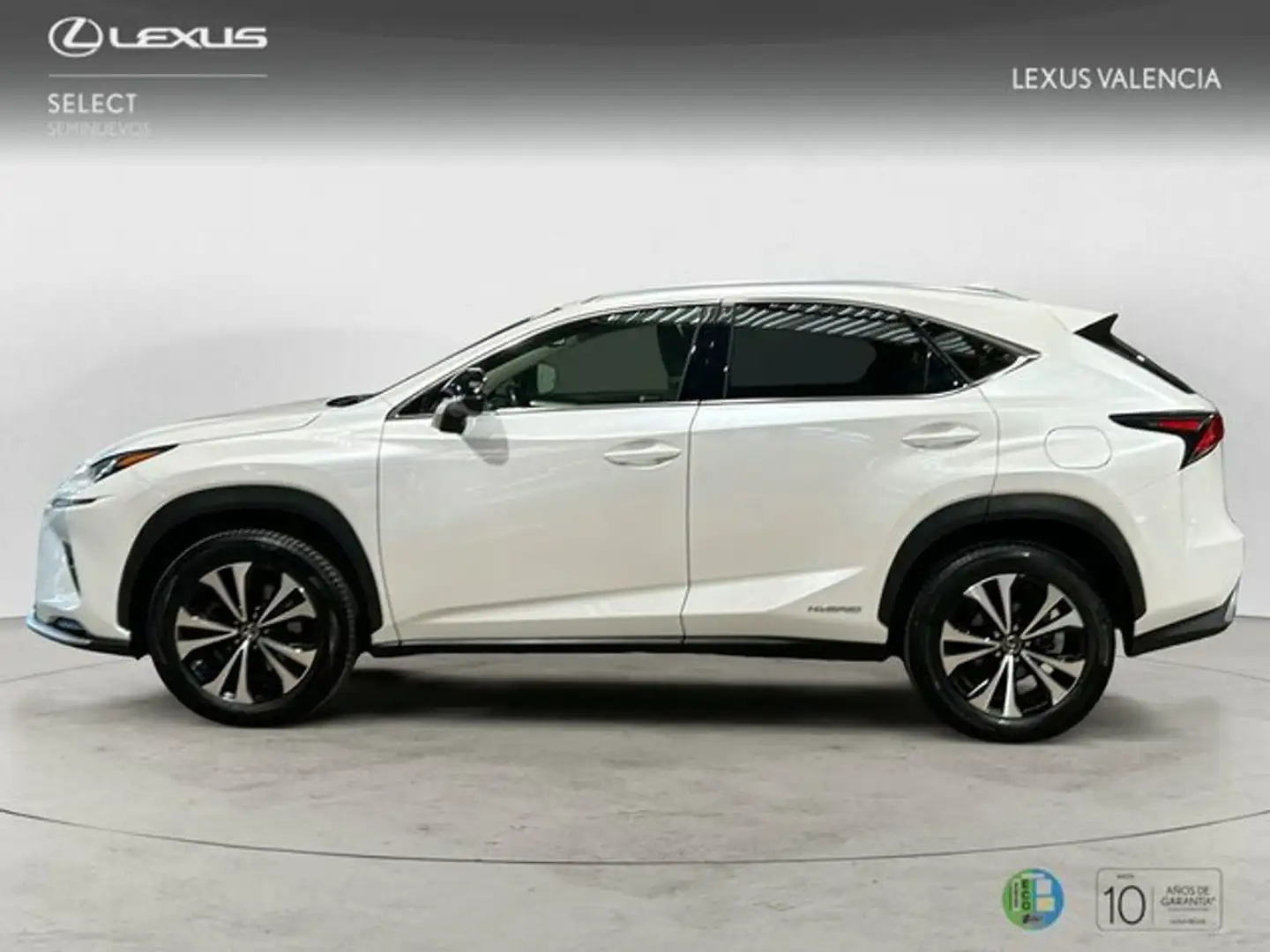 Lexus NX 200t 2WD 2.5 Híbrido Gasolina (197CV) Trans Bianco - 2