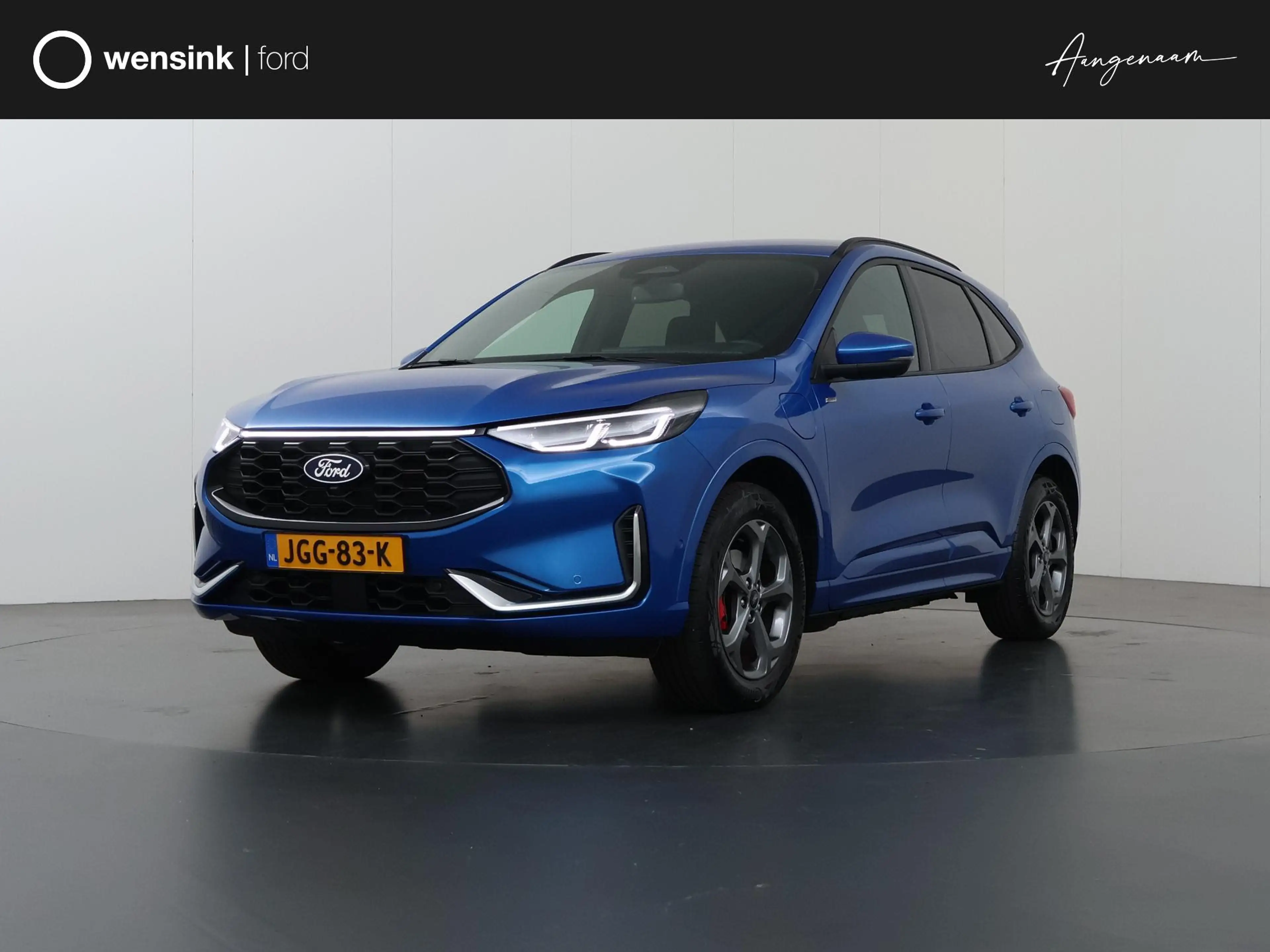 Ford Kuga 2.5 PHEV ST-Line X | Winterpakket | Cruise Control