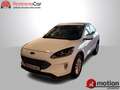 Ford Kuga 2.0 ECOBLUE MHEV 110KW TITANIUM 150 5P Wit - thumbnail 1