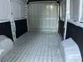 Fiat Ducato 33 MH2 2.2 Mjt3 140CV E6D-fin Bianco - thumbnail 10