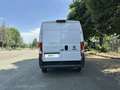 Fiat Ducato 33 MH2 2.2 Mjt3 140CV E6D-fin Bianco - thumbnail 4