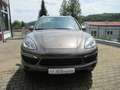 Porsche Cayenne S Diesel+Panorama+Bose+Gepflegt Maro - thumbnail 8