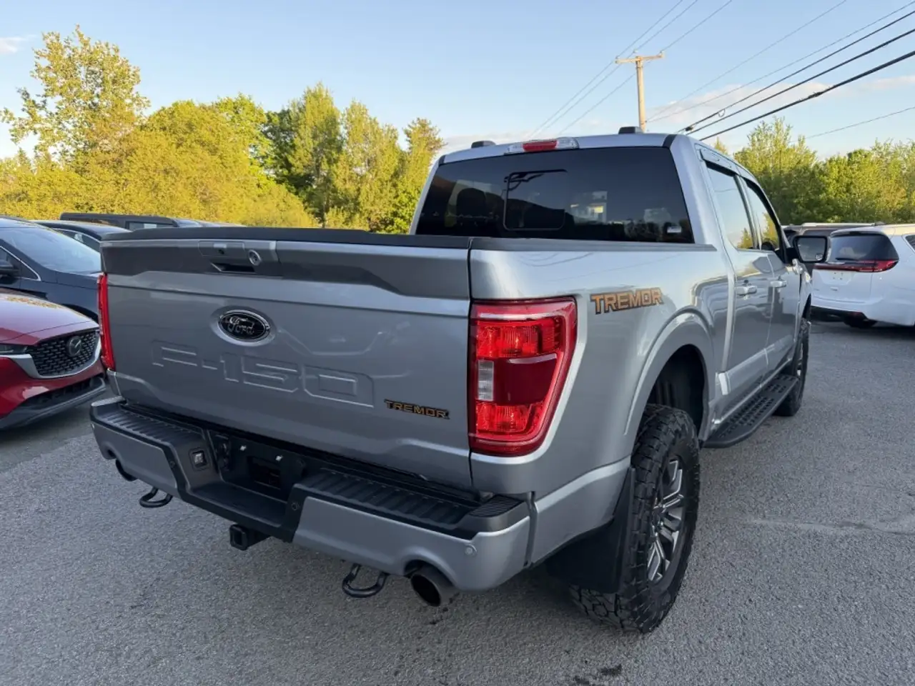 Ford F 150 снимка Ford F 150