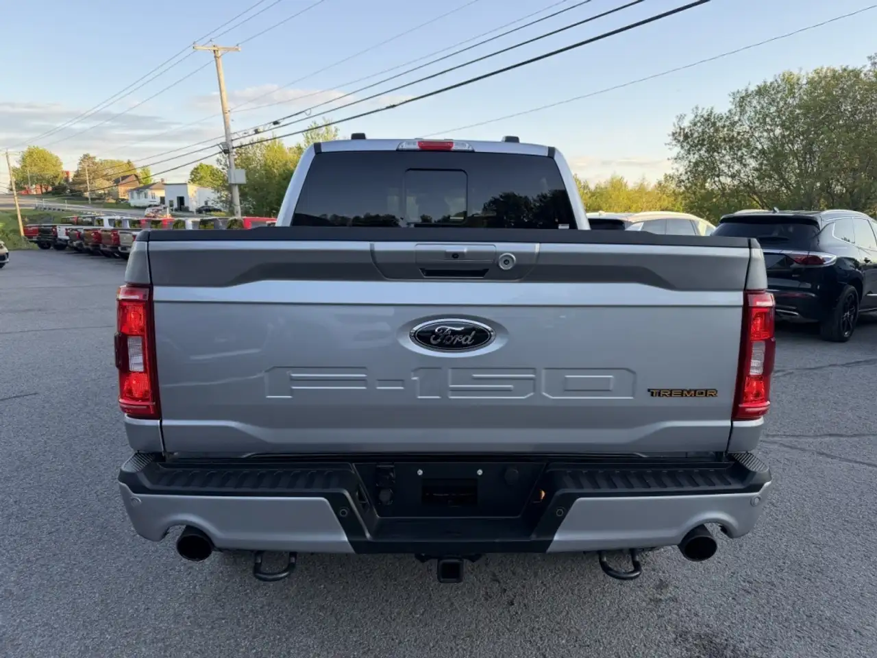 Ford F 150 снимка Ford F 150