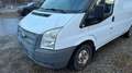 Ford Transit Kasten FT 280 M City Light Weiß - thumbnail 4