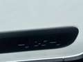 Fiat Panda Panda III 2012 4x4 1.3 mjt 16v Antartica 4x4 75cv Alb - thumbnail 4