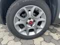 Fiat Panda Panda III 2012 4x4 1.3 mjt 16v Antartica 4x4 75cv Alb - thumbnail 3