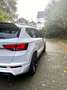 CUPRA Ateca 2.0 TSI 4Drive DSG Weiß - thumbnail 6
