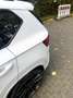 CUPRA Ateca 2.0 TSI 4Drive DSG Weiß - thumbnail 7