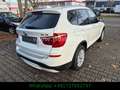 BMW X3 *xDrive 20 d*Euro6*TüV+Service neu*AHK*Autom.* White - thumbnail 6