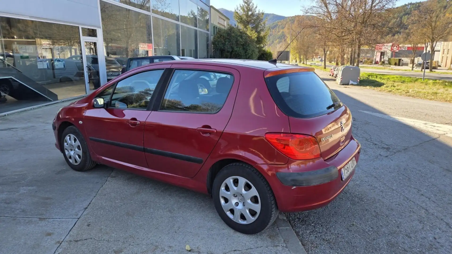 Peugeot 307 1.6 X-Line Violett - 2