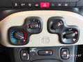 Fiat Panda Panda 1.2 Easy Beige - thumbnail 10
