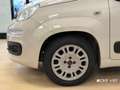 Fiat Panda Panda 1.2 Easy Beige - thumbnail 12