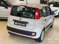 Fiat Panda Panda 1.2 Easy Beige - thumbnail 3