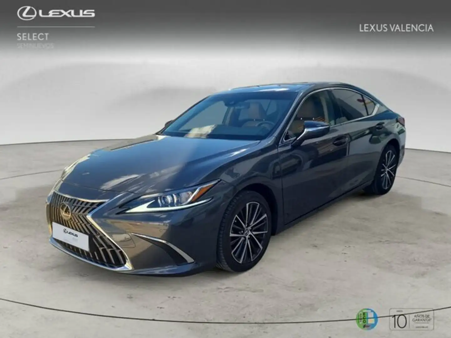 Lexus ES 300 300h Premium Gris - 1