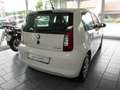 Skoda Citigo Citigo 5-Türer 1.0 MPI Ambition+KLIMA - thumbnail 3