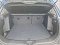 Suzuki SX4 S-Cross S-Cross 1.5 Dualjet Hybrid AGS Comfort Navi LED Blau - thumbnail 19