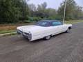 Cadillac Deville Weiß - thumbnail 15