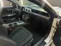 Ford Mustang USA 5.0 V8 Keyless|Camera|Kleppensysteem Blanc - thumbnail 27