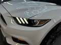 Ford Mustang USA 5.0 V8 Keyless|Camera|Kleppensysteem Blanc - thumbnail 14