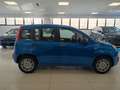 Fiat Panda My24 1.0 70cv Hybrid KM0 SENZA ROTTAMAZIONE Blau - thumbnail 6