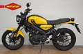 Yamaha XSR 125 Gelb - thumbnail 8