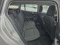 Ford Focus FORD FOCUS SW 1.5 ECOBLUE 120CV - MANUALE, CAR PLA Silber - thumbnail 12