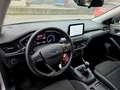 Ford Focus FORD FOCUS SW 1.5 ECOBLUE 120CV - MANUALE, CAR PLA Silber - thumbnail 22