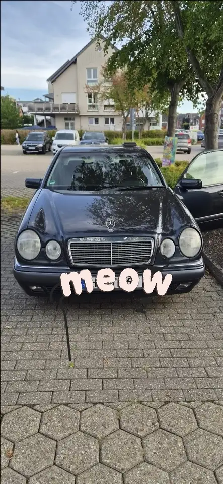 Mercedes-Benz E 240 Elegance, foto 12