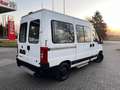 Fiat Ducato Hochr.-Kombi 2.8 JTD Radstand 3200 Blanco - thumbnail 5