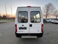 Fiat Ducato Hochr.-Kombi 2.8 JTD Radstand 3200 Blanco - thumbnail 18