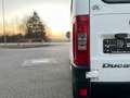 Fiat Ducato Hochr.-Kombi 2.8 JTD Radstand 3200 Blanco - thumbnail 11