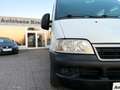 Fiat Ducato Hochr.-Kombi 2.8 JTD Radstand 3200 Blanco - thumbnail 10