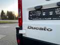 Fiat Ducato Hochr.-Kombi 2.8 JTD Radstand 3200 Blanco - thumbnail 12