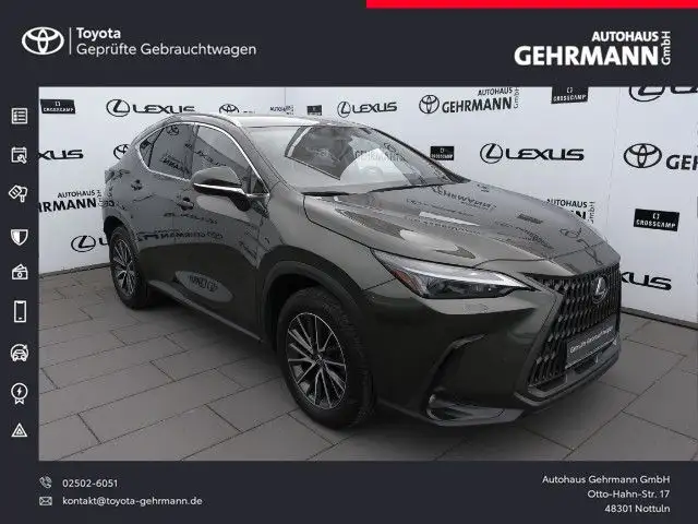 Lexus Sonstige