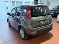Fiat Panda 1.0 firefly hybrid Ok Neopatentati *PREZZO REALE* Gris - thumbnail 7