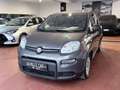 Fiat Panda 1.0 firefly hybrid Ok Neopatentati *PREZZO REALE* Gris - thumbnail 1
