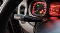 Fiat Panda 1.0 firefly hybrid Ok Neopatentati *PREZZO REALE* Gris - thumbnail 12