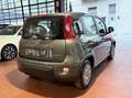 Fiat Panda 1.0 firefly hybrid Ok Neopatentati *PREZZO REALE* Gris - thumbnail 6