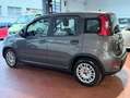 Fiat Panda 1.0 firefly hybrid Ok Neopatentati *PREZZO REALE* Gris - thumbnail 9