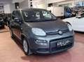 Fiat Panda 1.0 firefly hybrid Ok Neopatentati *PREZZO REALE* Gris - thumbnail 3
