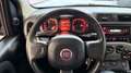 Fiat Panda 1.0 firefly hybrid Ok Neopatentati *PREZZO REALE* Gris - thumbnail 23