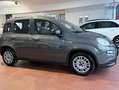 Fiat Panda 1.0 firefly hybrid Ok Neopatentati *PREZZO REALE* Gris - thumbnail 4