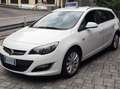 Opel Astra Astra IV 2010 Sports Tourer COSMO Bianco - thumbnail 6