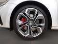 Skoda Octavia Combi RS Plus 2.0 TSI DSG RFKSHZ DCC LED Silber - thumbnail 6