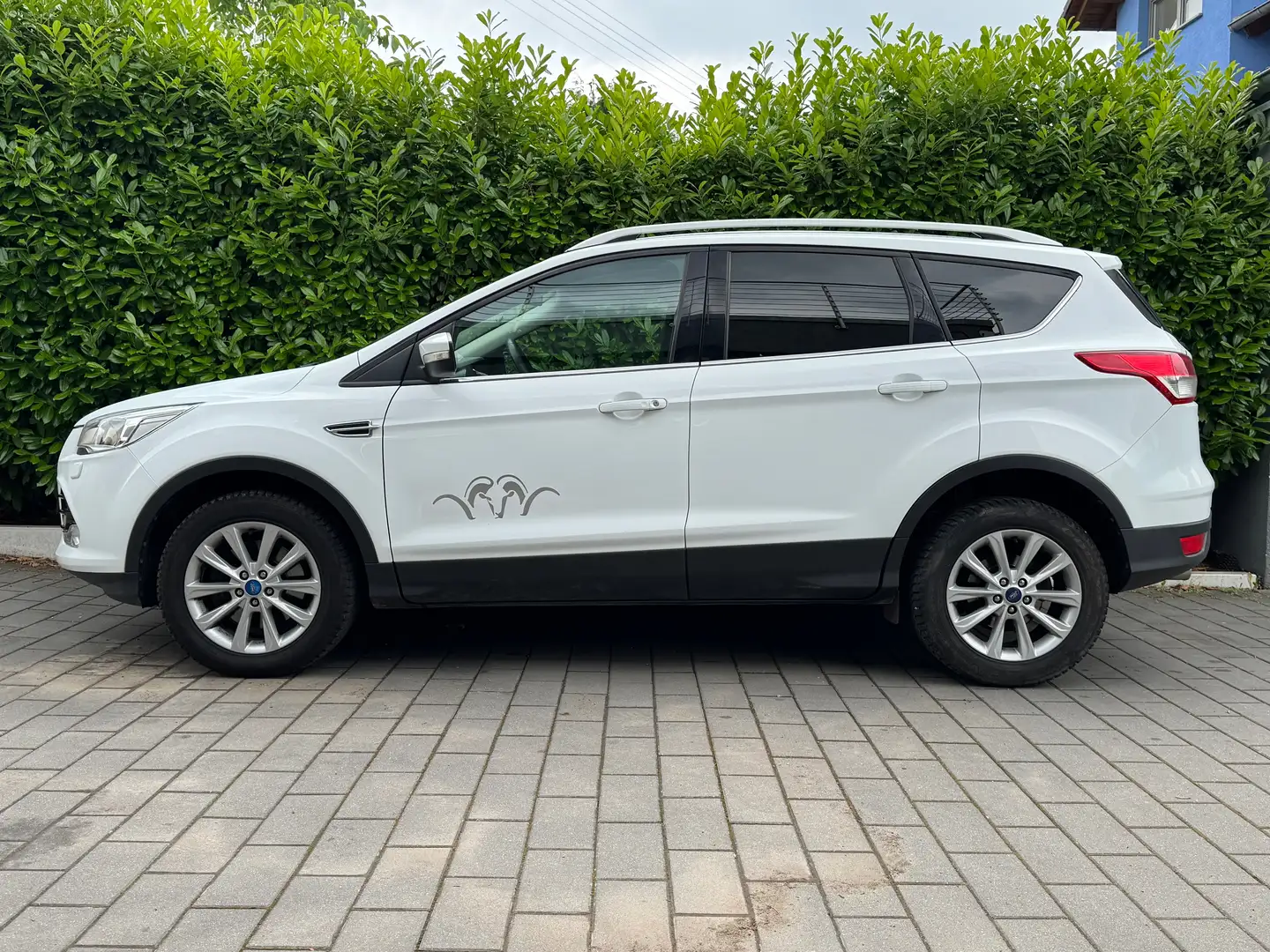 Ford Kuga Titanium *Navi*el. Heckklappe*PLANO*AHK* Weiß - 2
