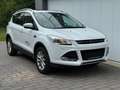 Ford Kuga Titanium *Navi*el. Heckklappe*PLANO*AHK* Weiß - thumbnail 7